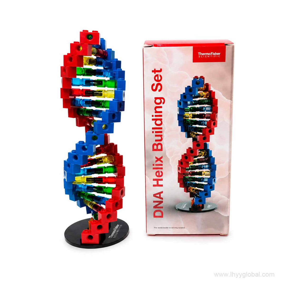 Custom DNA helix building block model displayed beside Thermo Fisher Scientific branded project packaging