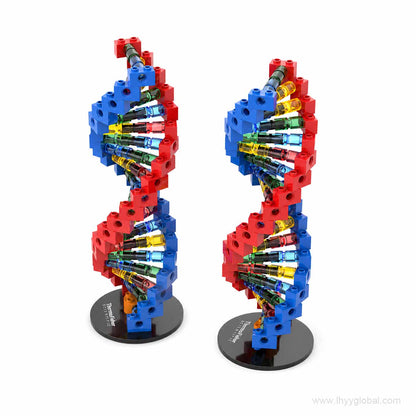 DNA helix building block model shown from two angles with red and blue bricks and multicolor transparent connectors