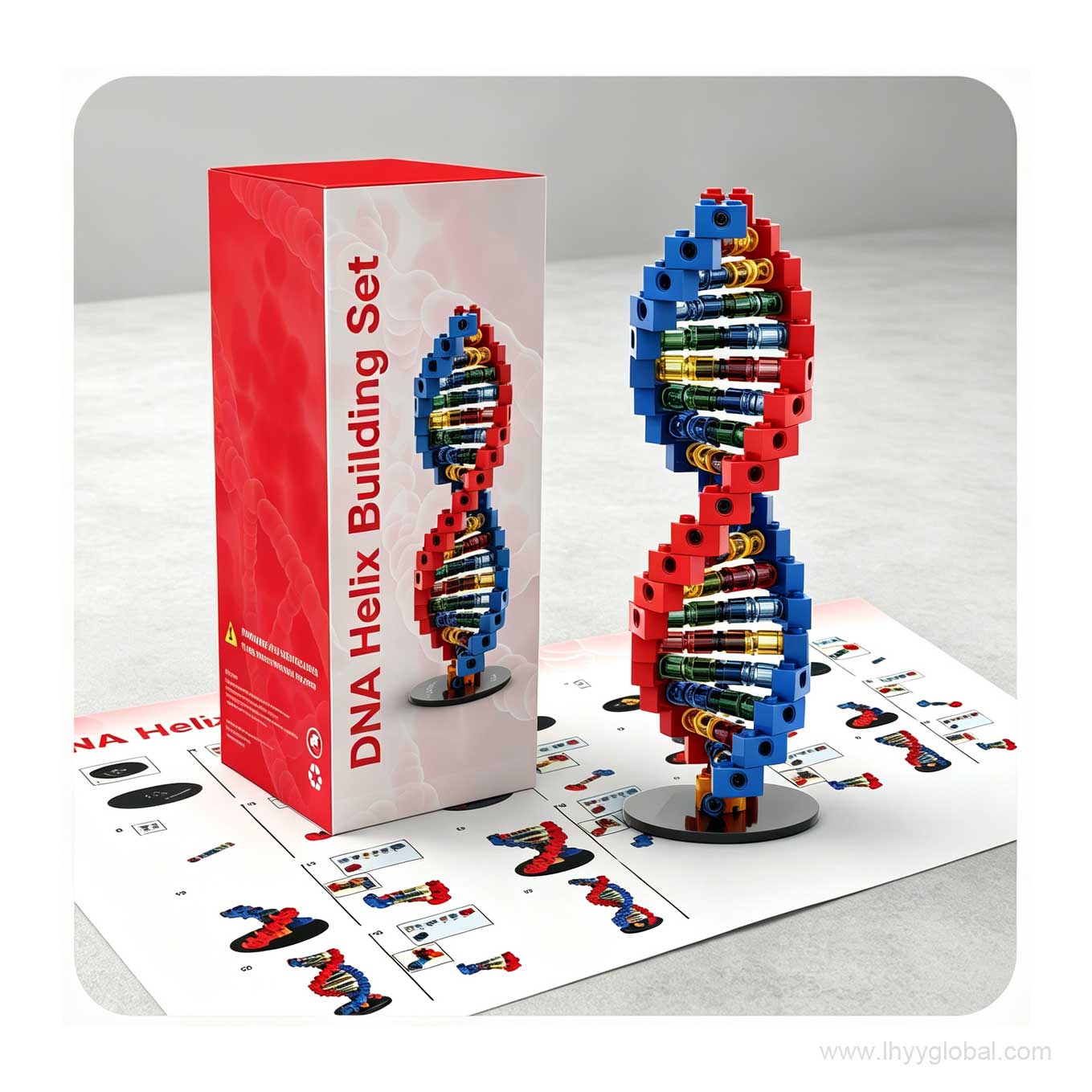 Custom DNA double helix building set displayed beside red LHYY packaging