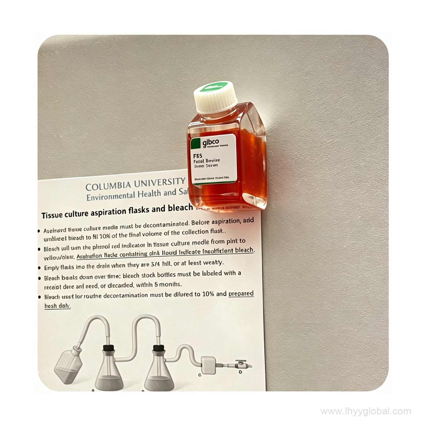 Gibco FBS bottle fridge magnet attached to a safety protocol document, highlighting its magnetic strength.
